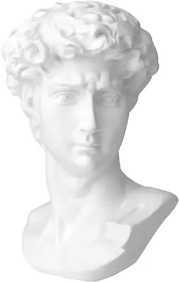 11In Greek Statue Of David Classic Roman Bust Greek Mythology Sculpture • $43.31