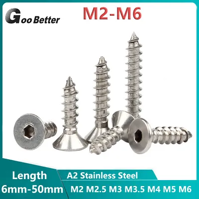 M2-M6 Hex Socket Countersunk Screws Self Tapping Wood Screws A2 Stainless Steel • £1.51