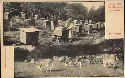 Bee Apiary La Grande Trappe Soligny-la-Trappe Orne France C1910 Postcard • $14.79