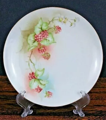 Vintage MORITZ ZDEKAUER Plate Hand Painted Red Raspberries Porcelain Austria • $17.97