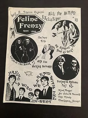 FELINE FRENZY Teen 'Zine #10 * 1993 Garage/Punk/Psych Scene *RARE* #RD-27 • $99.99