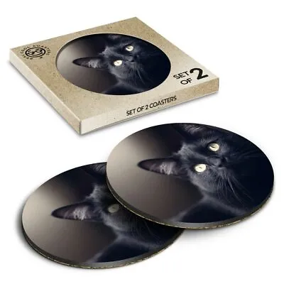 £4.99 • Buy 2 X Boxed Round Coasters - Black Cat Kitten  #2603