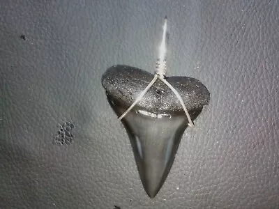 Beefy 2.1  Mako Sharks Tooth Pendant With Sterling Silver Hand Wrap • $25.99