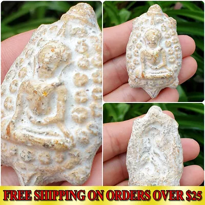 Genuine Thai Amulet Sacred Powder Powerful Buddha Turtle Shape Magic Talisman • $5.99