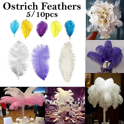 Ostrich Feathers - Extra Large Decor Table Centerpieces Costume 35-40cm/50-60cm • £47.99