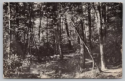 Mt Pocono PA Pennsylvania - Pleasant Walk At Sullivan Springs - Postcard - 1915 • $4.95