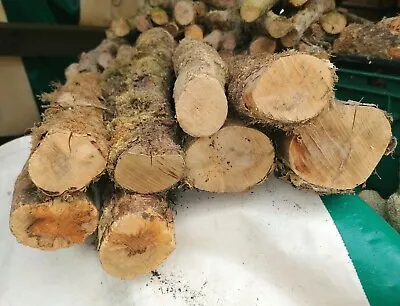 Boxwood Logs For Woodturning • £100