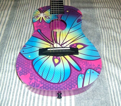 $74.95 • Buy First Act Discovery 31-inch Acoustic Guitar, Purple With Blue Butterfly FG 4090