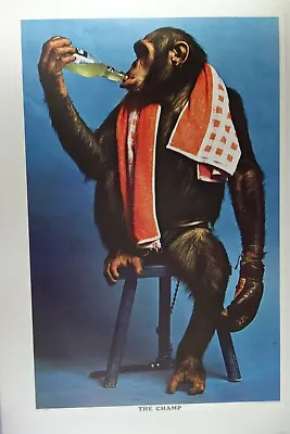 1972 Original Vintage  The Champ  Ape Monkey Zoo Animal By:  Aa Sales Seattle  • $85
