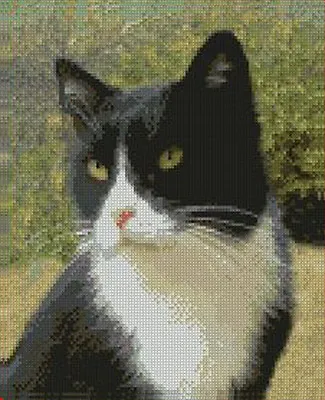 £16.75 • Buy Black & White Cat 2 Counted Cross Stitch Kit 12.5  X 12.5  11 Count