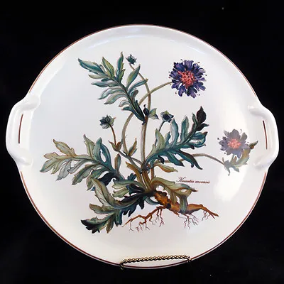 BOTANICA By Villeroy & Boch Cake Plate 12.5  NEW NEVER USED Made In Luxembourg • $79.99