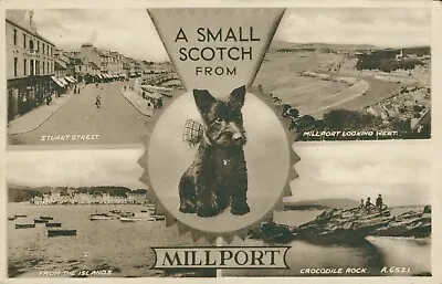 A Small Scotch From Millport [Scottie Dog] (Valentine No. A6521) Posted 1948 • £4.99