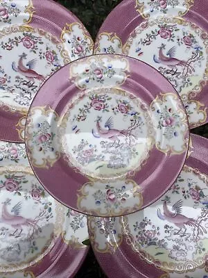 Set Of 7 Antique MINTON COCKATRICE PINK 9” PLATES WITH GLOBE MARK • $699