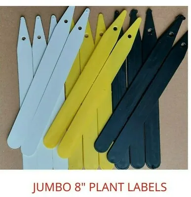 £4.50 • Buy Packs Of 8  Coloured Plastic Garden Plant Labels Seed Pot Tray Tags Markers Uk