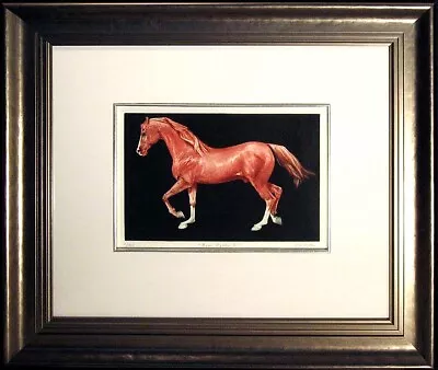 G H Rothe Ben Rabba II (Red) Hand Signed Original Mezzotint Horse Custom Frame • $2800