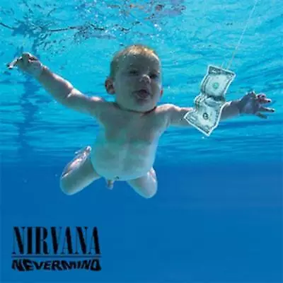 Nirvana - Nevermind VINYL LP • $64.95