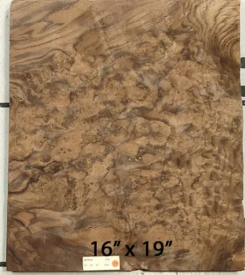 Walnut Burl Wood Veneer 16  X 19  Raw No Backing 1/42  Thickness AAA Grade # 120 • $65