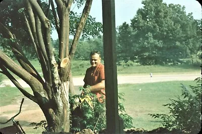 1961 Man Sawing Tree Branches With Chainsaw #3 Red Bike 60s Vintage 35mm Slide • $11.96