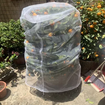 Garden Plant Fruit Fly Bug Net Insect Mesh Vegetable Crops Protection Cover Bags • £4.74