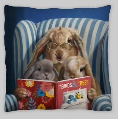 Fun Rabbit Bunny Reading On Armchair    Cushion Cover  45cm  • £6.10