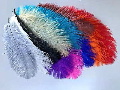 5pcs Ostrich Feather 20-25cm 17 Colour Choice DIY Craft Wedding Party Decoration • $6.95