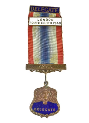 £8.50 • Buy Vintage Old Buffaloes RAOB London South Essex 1946 Deleagte Enamel Jewel Medal