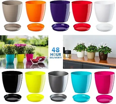 Plant Flower Pot Plastic 20 Colours 9 Sizes Gloss Pots Planter Saucer Tray Deco • £6.99