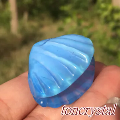 1.2  Blue Opalite Scallop Shell Carved Quartz Crystal Skull Pearl Shells 1pc • $8.49