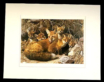 Carl Brenders  Full House-Fox Family  11 X 14 Matted Fox Wildlife Print • $25.99