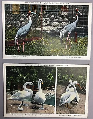 C 1930 SWAN Crane PELICAN Washington Park Zoological Zoo MILWAUKEE Wis Postcard • $12