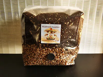 1Kg Mushroom Grow Bags - Sterilised Rye With CVG Substrate • £13.99