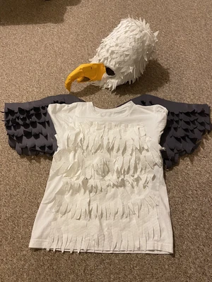 £10 • Buy Hand Made Eagle Costume. Great Condition. From Pet And Smoke Free House.