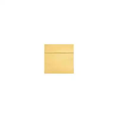 LUX 6 1/4 X 6 1/4 Square Envelopes 50/Box Gold Metallic (8530-07-50) • $27.26