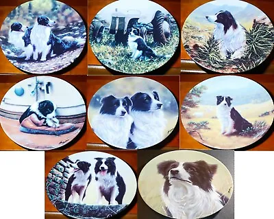 £12.99 • Buy Royal Worcester Danbury Mint The Border Collie Collection Dog Puppy Breed Plate