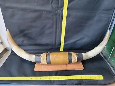 Vintage Mounted Steer Horns 20in Spread Great Shape Ready To Display • $150