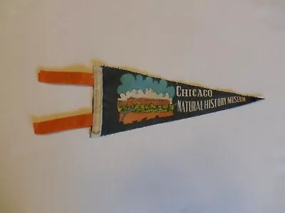 Vintage Chicago Natural History Museum Pennant • $12.99