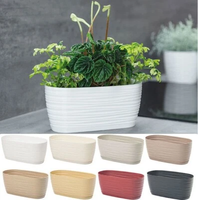 Trough Plant Pot Long Plastic Box Planter Succulent Garden Window Herb Flower • £9.80