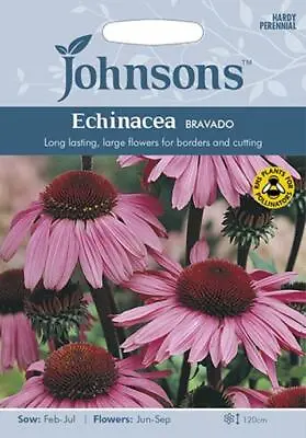 Echinacea Bravado  50 Fresh Seeds    Echinacea Seeds    Flower Seeds • £2.85