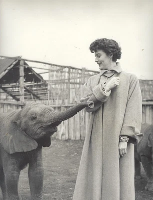 £48.66 • Buy Actress Ava Gardner Between Scenes  Mogambo , Original 1953 Photo, 3. 10x13