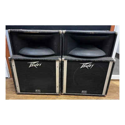 $249.99 • Buy Peavey SP2 Speaker Pair Used
