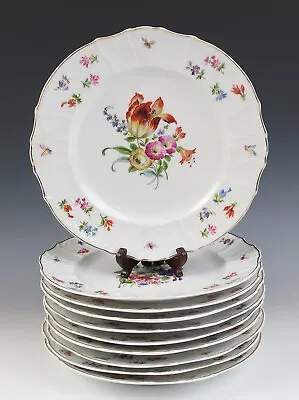 10 Antique Luncheon Plates Haas & Czjzek Schlaggenwald Dresden Flowers & Insects • $157.94