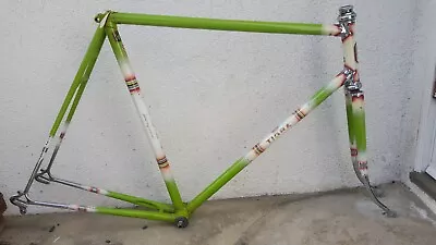 Tigra Professional Vintage Road Frame/fork With Campagnolo--very Cool! • $495