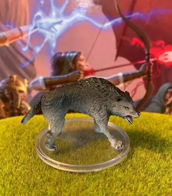 Dire Wolf D&D Miniature Dungeons Dragons Wild Shape Polymorph Summoned Large Z • $7.99