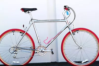 DiamondBack Ascent Vintage Hardtail Mountain Bike Turned Klunker Cruiser - Large • $650
