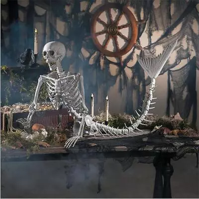 Life Size Skeleton Mermaid Skeleton Halloween Outdoor DecorationsRealistic 80cm • £14.72