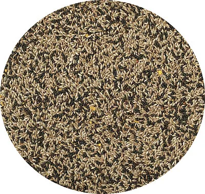 Canary Seed Mixed 250g Bow Brand Great Seed Mixed Seed Food Feed For Canaries • £3.25