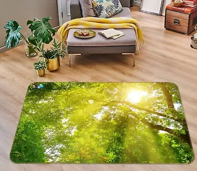 3D Warm Sunlight ZHUA2774 Game Non Slip Rug Mat Photo Carpet Vera 2023 • $32.10