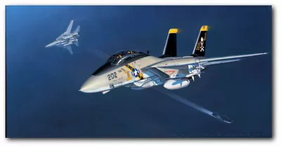 TOMCAT! By Jack Fellows - F-14 Tomcat - Aviation Art Print - Canvas Transfer • $250