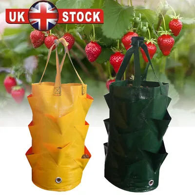 Hanging Planting Grow Bags Garden Tomato Strawberry Veg Container Planter Pouch • £4.29