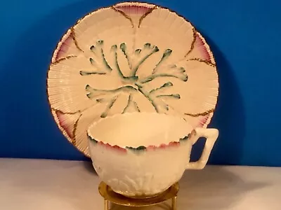 Antique Albino Shell And Seaweed Majolica Cup And Saucer C.1800's  GSH • $265